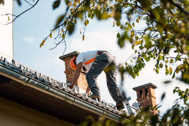 Best Storm Damage Roof Repair  in Colonial Heights, VA