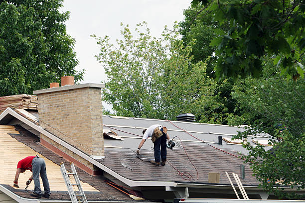 Best Shingle Roofing Installation  in Colonial Heights, VA