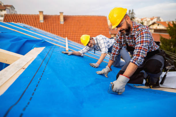 Best Roof Leak Repair  in Colonial Heights, VA