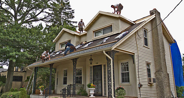 Best New Roof Installation  in Colonial Heights, VA