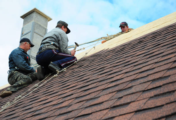 Roof Waterproofing Services in Colonial Heights, VA